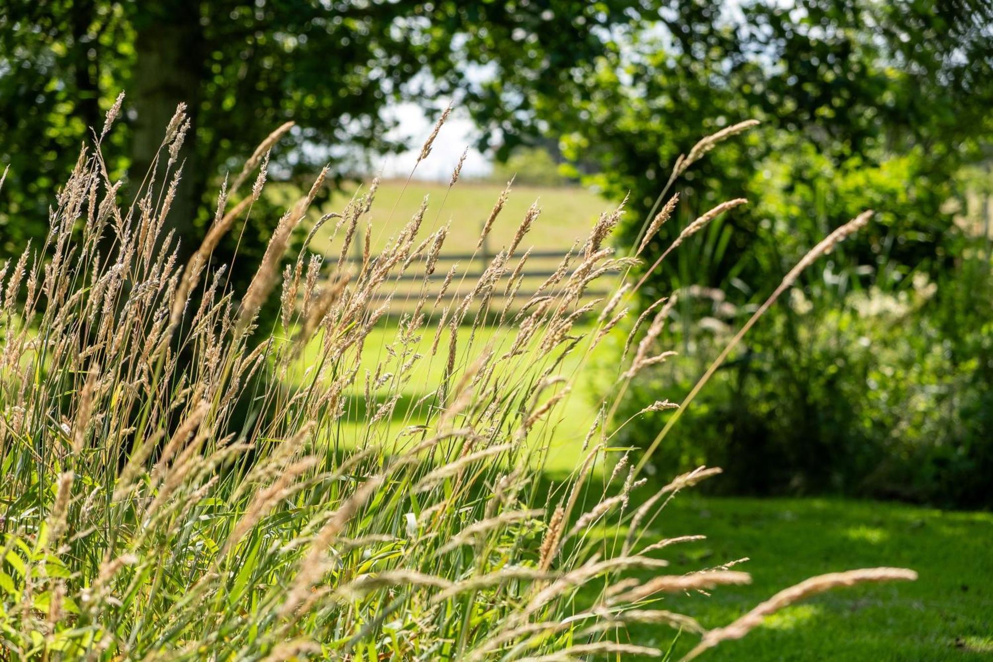 Marcassie Farm Lodges - Blackthorn Studio Forres Exterior foto