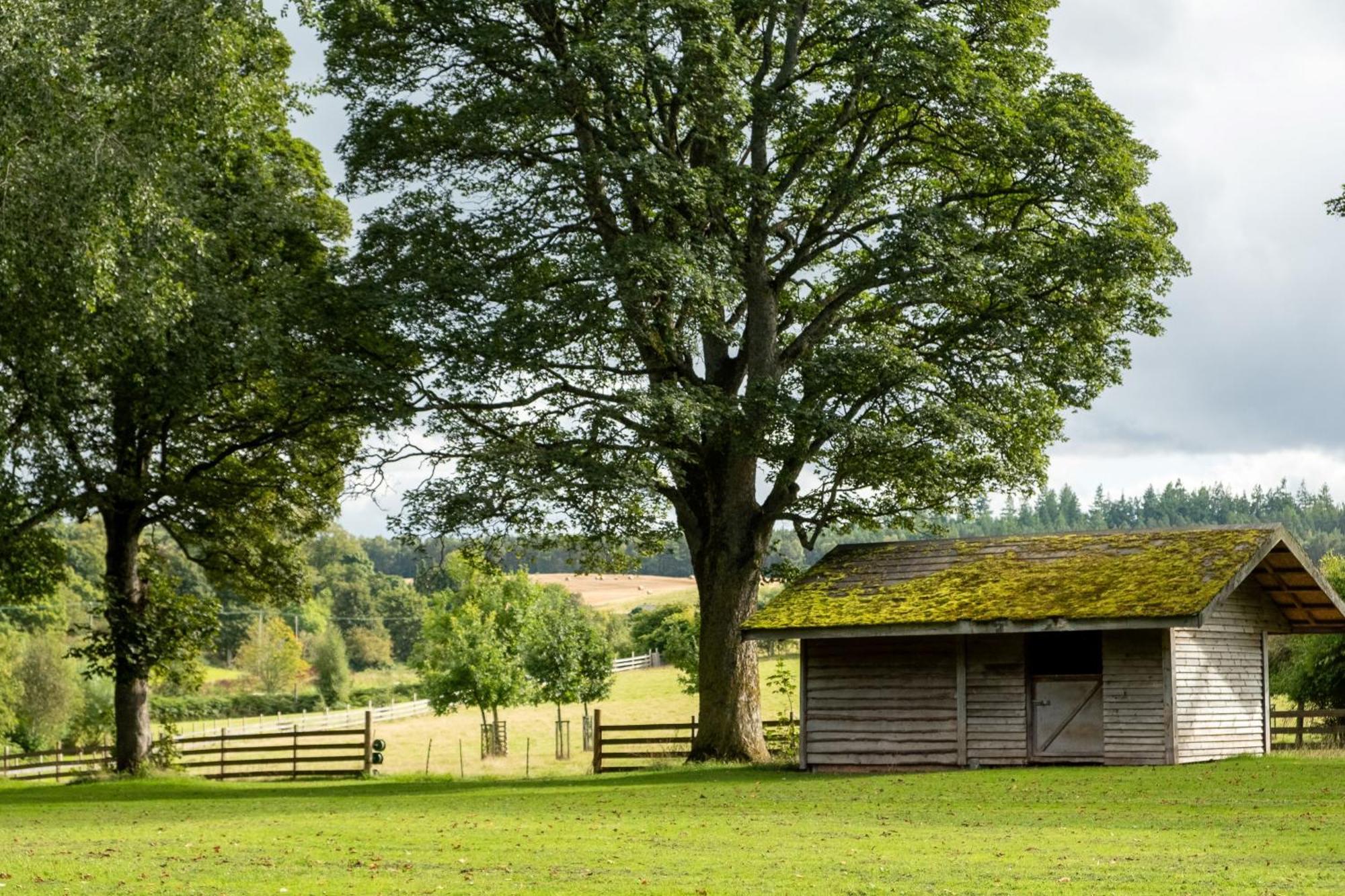 Marcassie Farm Lodges - Blackthorn Studio Forres Exterior foto