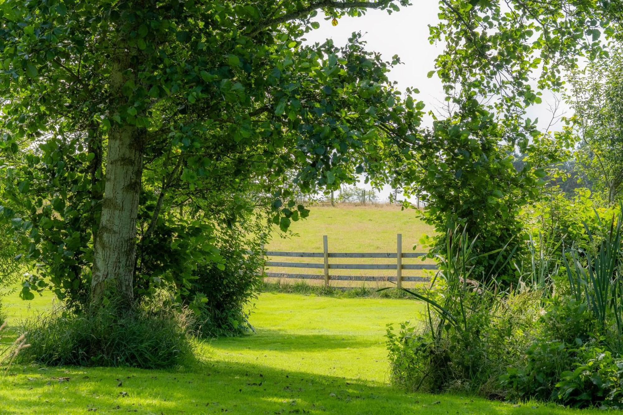 Marcassie Farm Lodges - Blackthorn Studio Forres Exterior foto